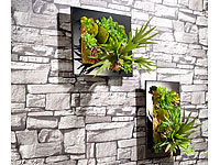 Carlo Milano Tableau végétal avec plantes artificielles  39 x 29 cm