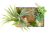 Carlo Milano Tableau végétal avec cadre  Herbacées  30 x 20 cm; Bio-Ethanol-Tisch-Deko-Feuer Bio-Ethanol-Tisch-Deko-Feuer 