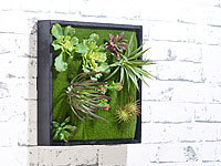 Carlo Milano Tableau végétal avec plantes artificielles style "Gazon"  30 x 3...