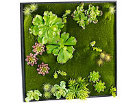 Carlo Milano Tableau végétal avec plantes artificielles longues et gazon  60 x ...