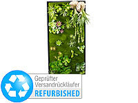 Carlo Milano Vertikaler Wandgarten Klaus mit Deko-Pflanzen, 50x100 cm (refurbished); Sandpendel 