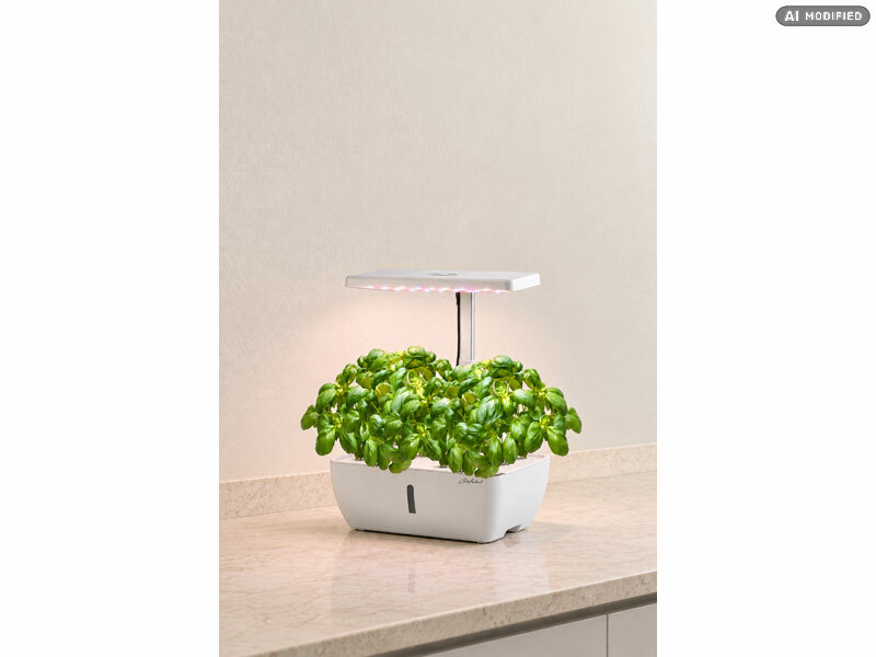 ; systèmes de culture de plantes intelligents avec lumière LED et minuterie systèmes de culture de plantes intelligents avec lumière LED et minuterie systèmes de culture de plantes intelligents avec lumière LED et minuterie systèmes de culture de plantes intelligents avec lumière LED et minuterie